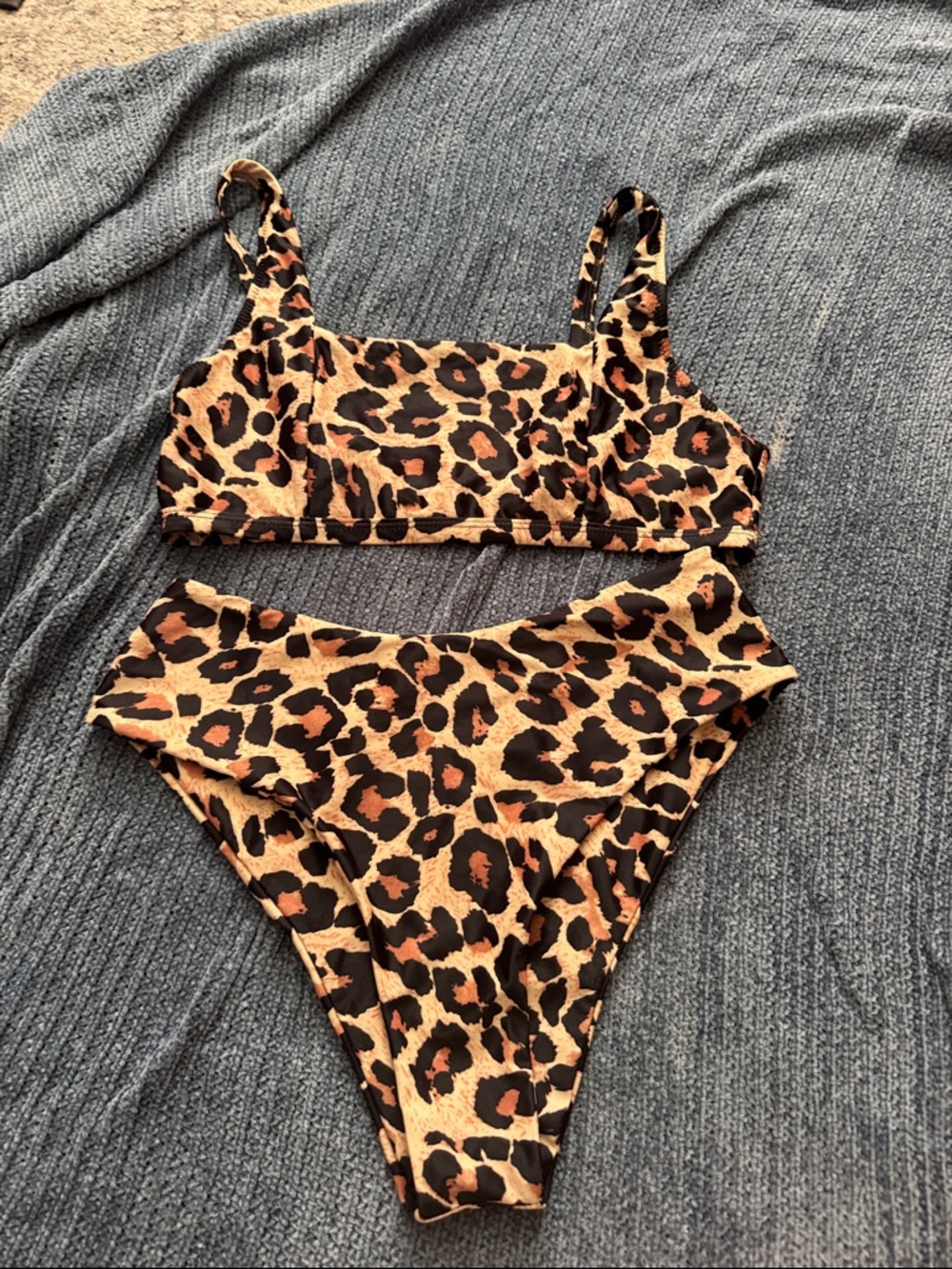 Leopard Print Two-Piece Bikini Set - Tan & Black